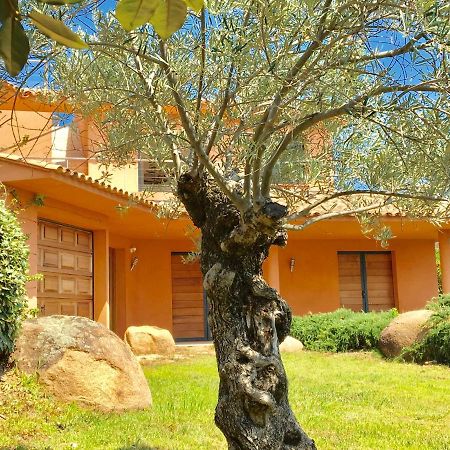 Villa Santa Giulia, Vue Panoramique Sur La Mer, 900 M De La Plage Porto-Vecchio  Exterior foto